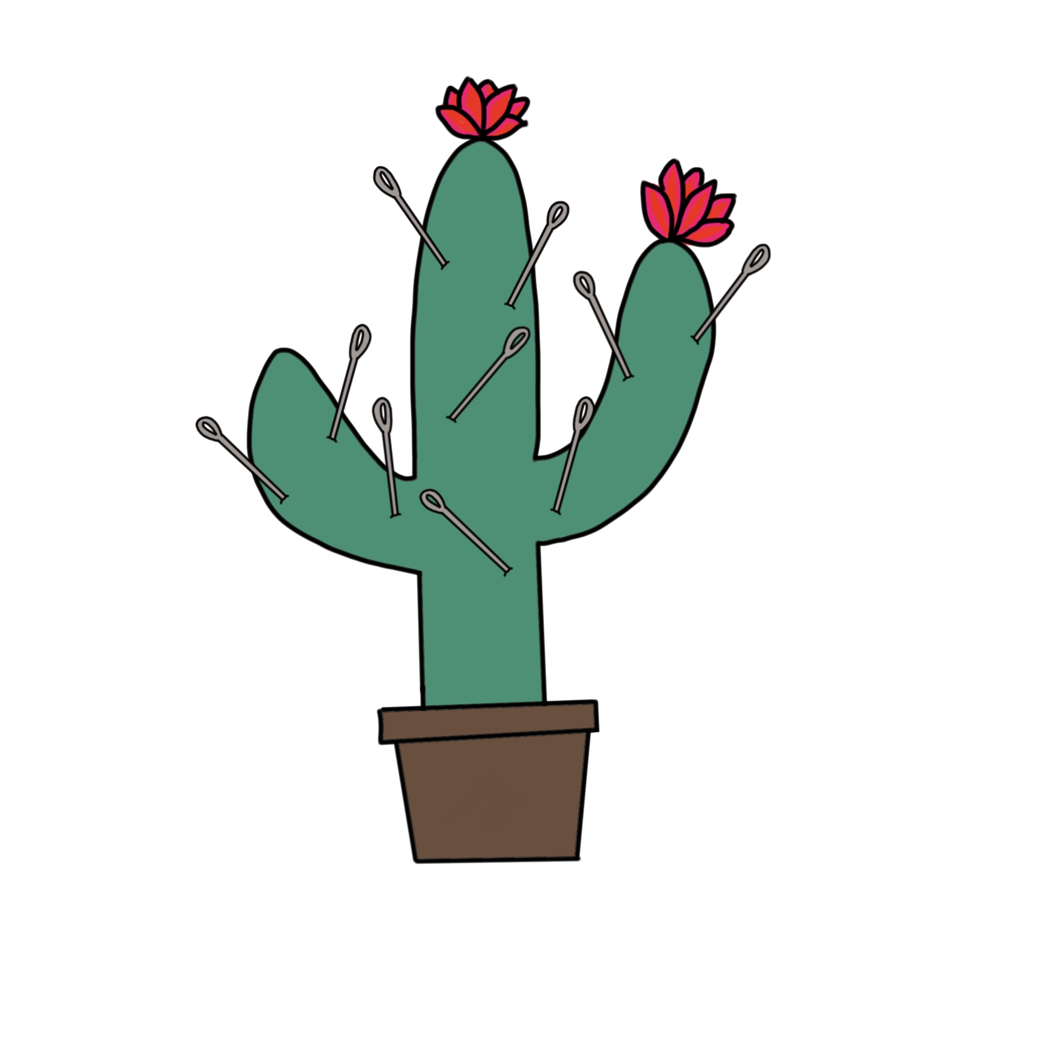 sketched cactus for the size reference