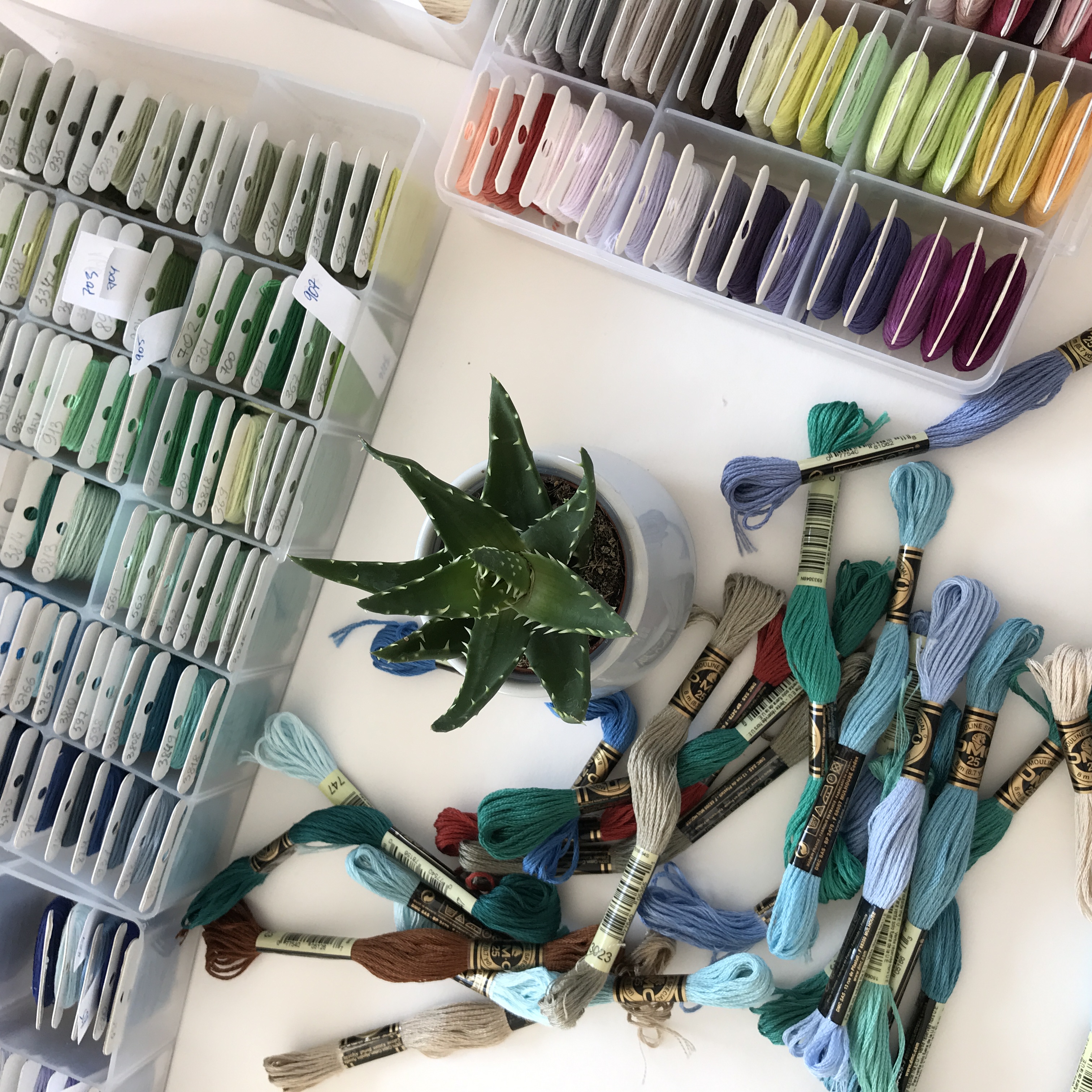 Embroidery thread by DMC