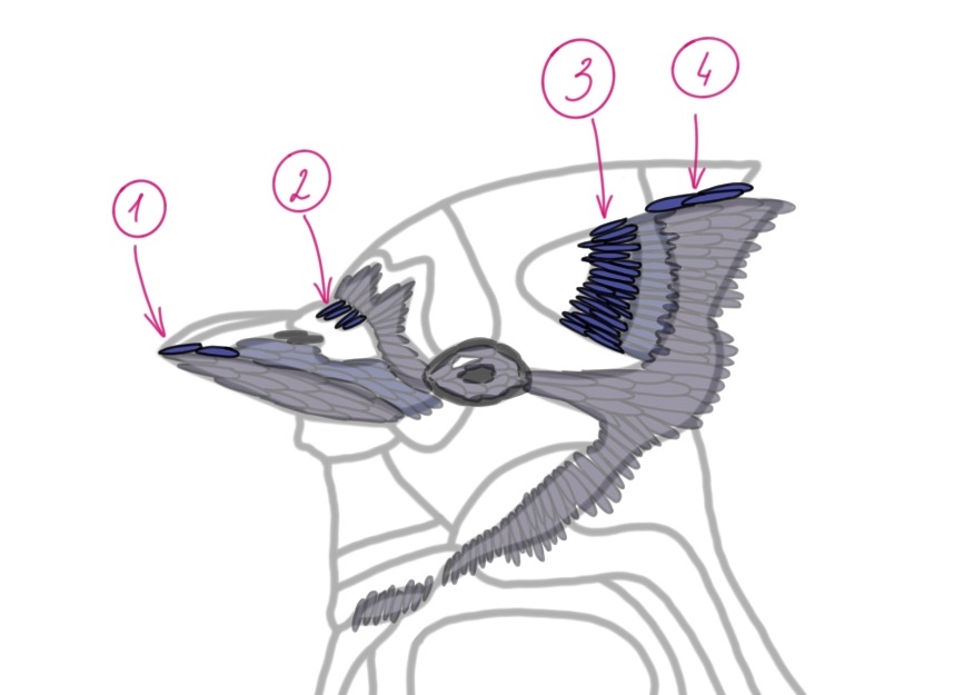 Showcasing the third layer of stitches in the Blue Jay pattern